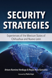Cover image for "Security Strategies" report