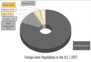 Foreign-born populations in the US